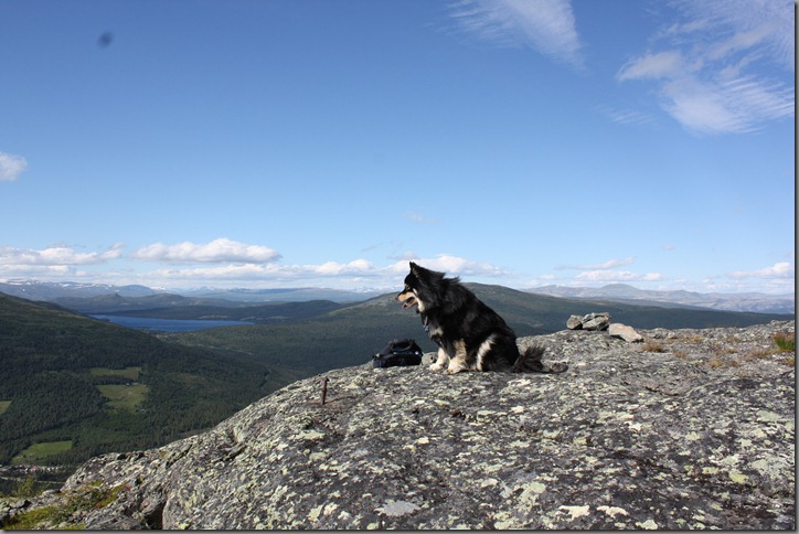 fjelltur 091 fjelltur 091