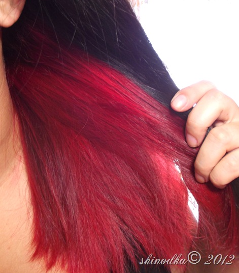 DSCF3775 DSCF3775