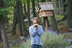 glacier_national_park_-_2009