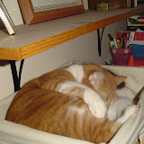 Tinks basket