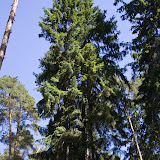 _MG_2537.jpg