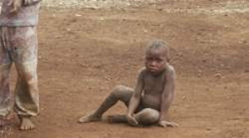 A busca por medicamentos contra doenças sem interesse comercial