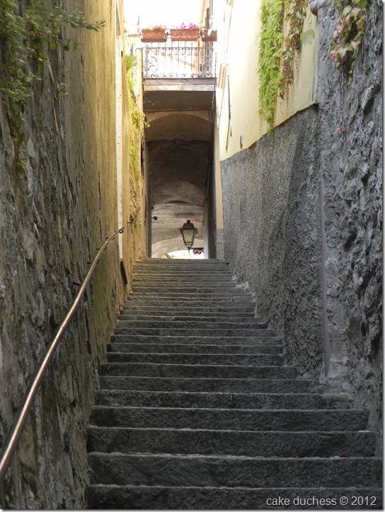 DSCN1175 DSCN1175