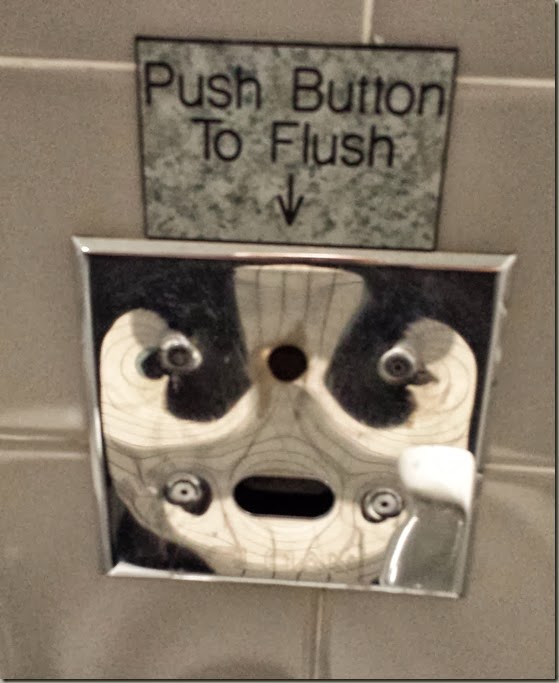 Motion Sensor of Dismay Motion Sensor of Dismay