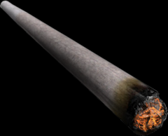 Joint Joint