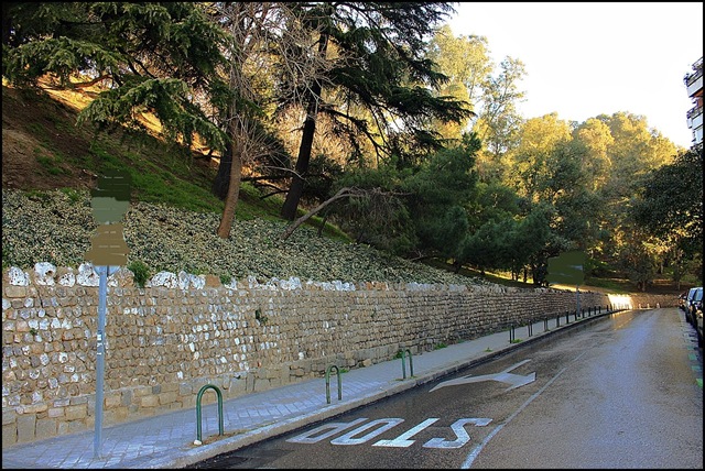 [1Descenso%2520por%2520la%2520calle%2520Ir%25C3%25BAn%2520hasta%2520doblar%2520la%2520Senda%2520del%2520Rey.%2520Madrid%255B4%255D.jpg]