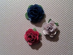 IMG_3743 IMG_3743