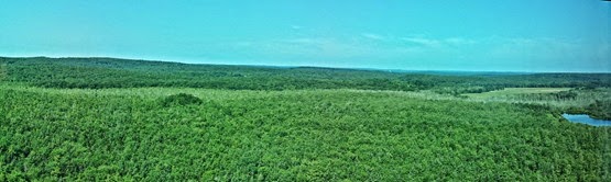 view view