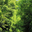 SH_Expo_0002.JPG