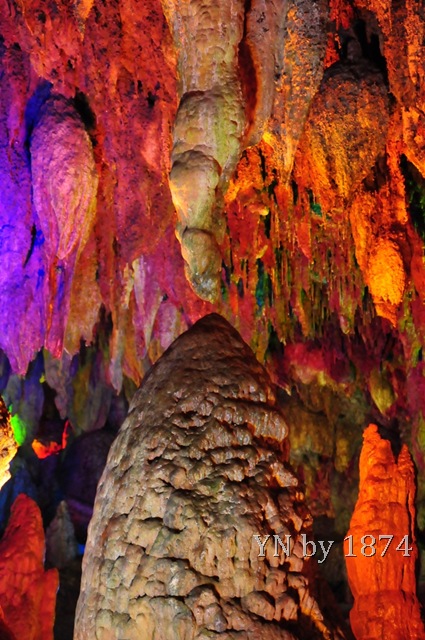 [DSC_5681%255B9%255D.jpg]