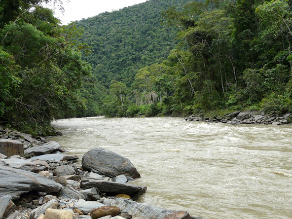 Rio Zongo (alt. 600 m, à l'ouest de Caranavi). Bolivie, 30 janvier 2008. Photo : J. F. Christensen