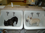 Franny, don't you love these deep sinks in the laundry room?  Perfect for warming up and washing off the remnants of the beach.