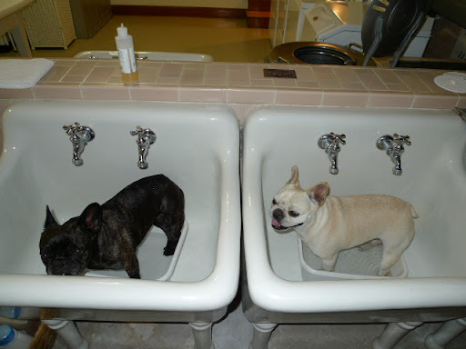 Franny, don't you love these deep sinks in the laundry room?  Perfect for warming up and washing off the remnants of the beach.