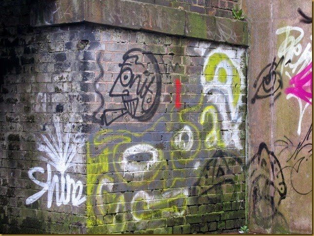 IMG_3956 IMG_3956
