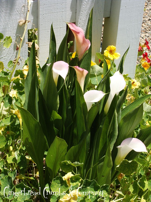 [inTheGarden5%255B6%255D.jpg]