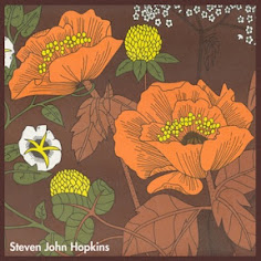 Steven John Hopkins - s/t (2011)