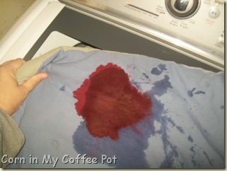 spot remover-comforter 001 spot remover-comforter 001