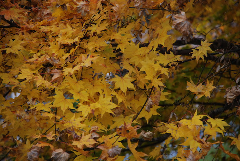 hokkaido_061.jpg