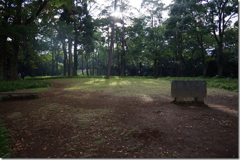 IMGP3206 IMGP3206
