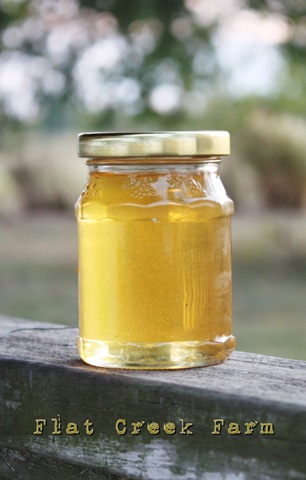 [honey9%255B4%255D.jpg]