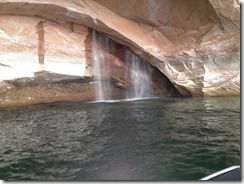 IMG_0731 IMG_0731
