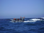 DSC08563.JPG