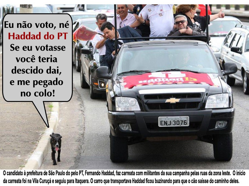 [pt-nemai-animais%255B3%255D.jpg]