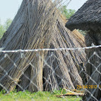 IMG_7507.JPG