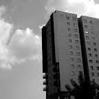 DSCF2231.JPG
