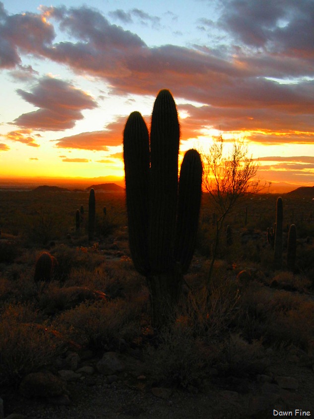 [usairy3%255B7%255D.jpg]