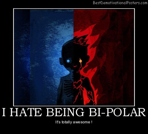 i-hate-being-bi-polar-bipolar-hate-its-totally-awesome-best-demotivational-posters