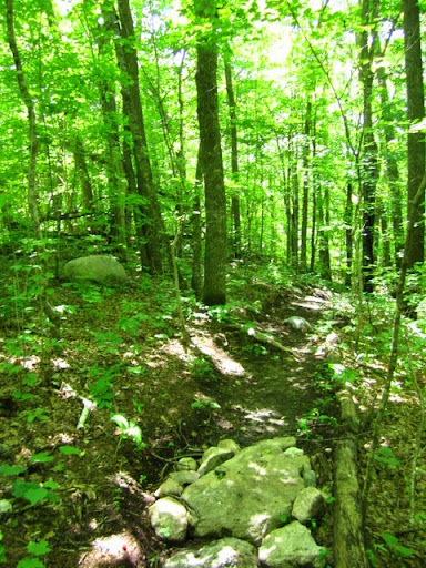 Twin lakes singletrack