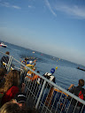 P8310364.JPG