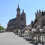 P1010033.JPG