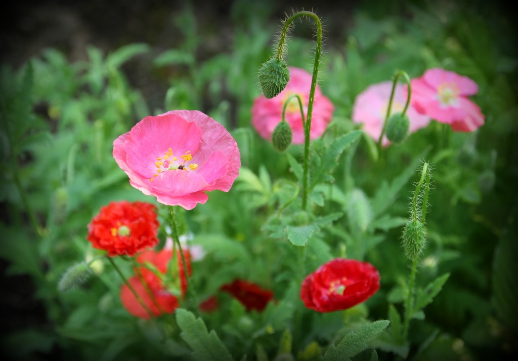 [IMG_50343.jpg]