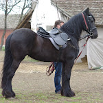 IMGP0279.JPG
