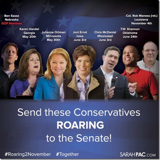 Send These Conservatives to the Senate!