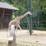 Zootour Teil 5