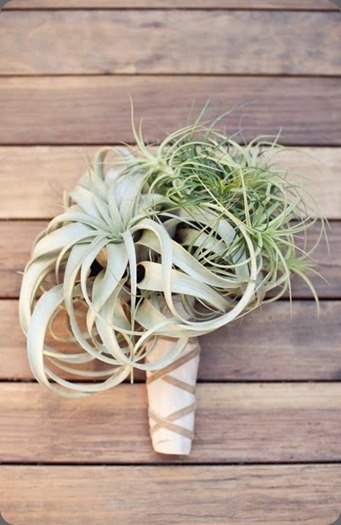 2011 - 06 - 28A - jl designs - floral detail shoot -01