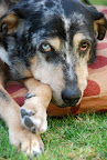 Zelda - with the look that says it all Zelda - with the look that says it all