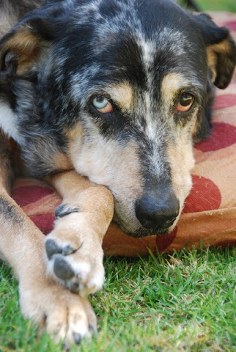 Zelda - with the look that says it all Zelda - with the look that says it all