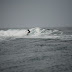 _MG_7536.JPG