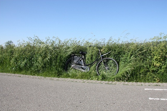 blauwgroengrijs blauwgroengrijs