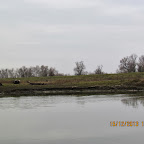 IMG_1517.JPG