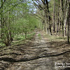 Gryżyński Park Krajobrazowy dsc06272.jpg