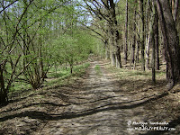 Gryżyński Park Krajobrazowy Gryżyński Park Krajobrazowy