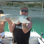 Brochet du lac de Sainte-Croix