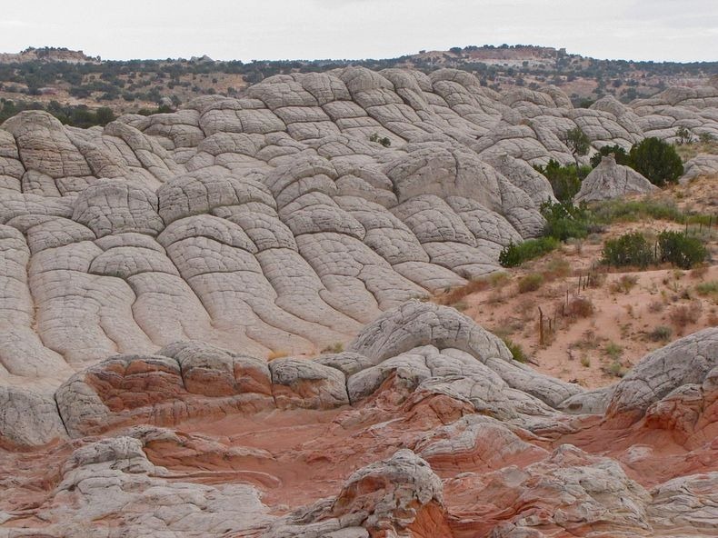 white-pocket-arizona-9 white-pocket-arizona-9