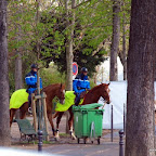 20100402_030.JPG