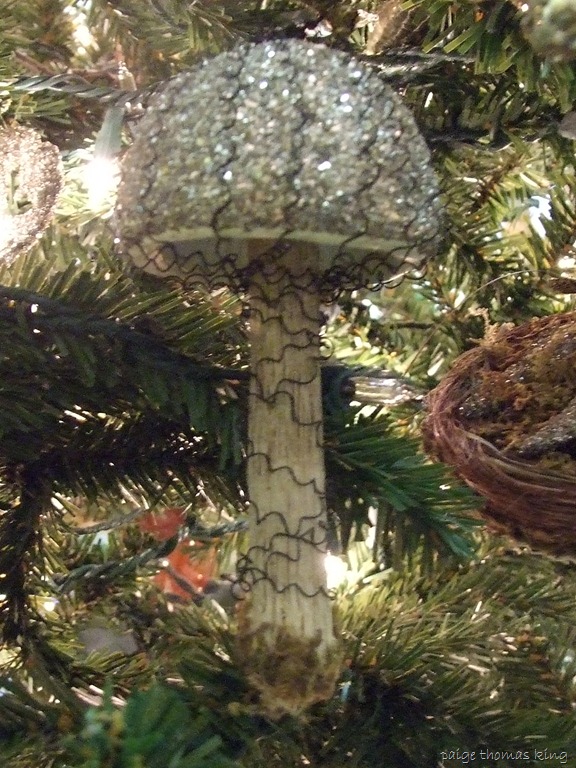[christmas%25202012%2520034%255B4%255D.jpg]